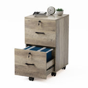 VINGLI 2-Drawer Wood File Cabinet with Lock Mobile Walnut/Black/Grey/Brown/White