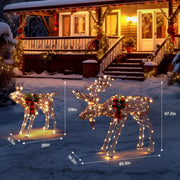 VINGLI 1/2/3 Piece Lighted Christmas Reindeer Family Set Outdoor Yard Decoration White/Gold/Brown