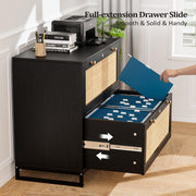 VINGLI 2-Drawer Wood Rattan Lateral File Cabinet with Lock for Home Office Black/Oak/White