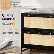 VINGLI 2-Drawer Wood Rattan Lateral File Cabinet with Lock for Home Office Black/Oak/White