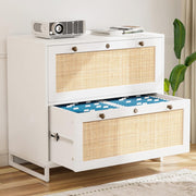 VINGLI 2-Drawer Wood Rattan Lateral File Cabinet with Lock for Home Office Black/Oak/White