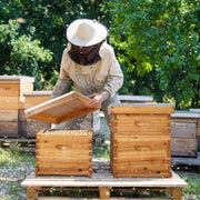 VINGLI 10 Frames Complete Beehive Kit with Waxed Foundations