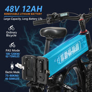 PEXMOR 26" 750W Folding Ebike