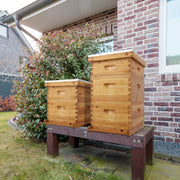 VINGLI 10 Frames Complete Beehive Kit with Waxed Foundations