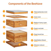 VINGLI 10 Frames Complete Beehive Kit with Waxed Foundations