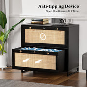 VINGLI Wood Rattan 2-Drawer Lateral File Cabinet with Lock for Home Office Black/Oak/White